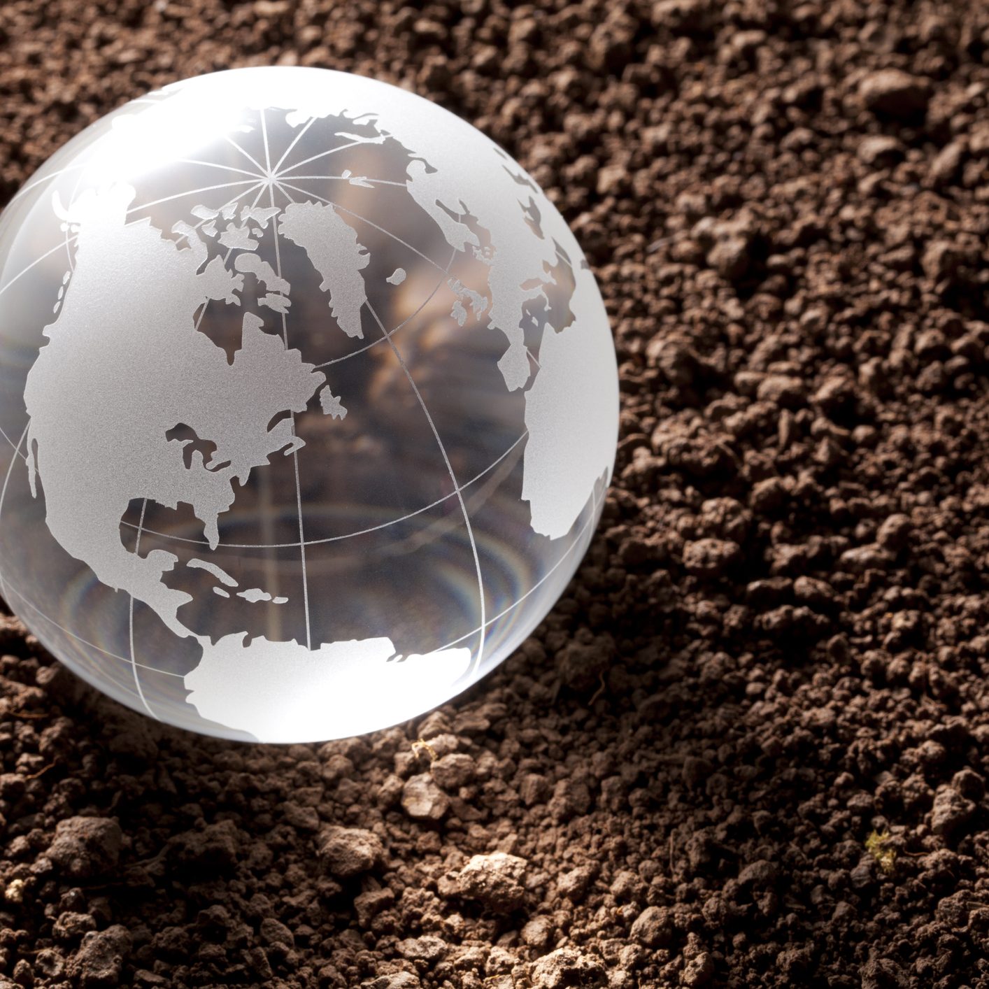 Globe on the soil.